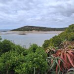 IMG-20251212-WA0091
