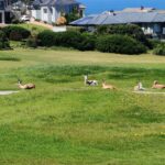 IMG_20260928_125845